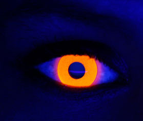 Order halloween and novelty contact lenses online | lens.com